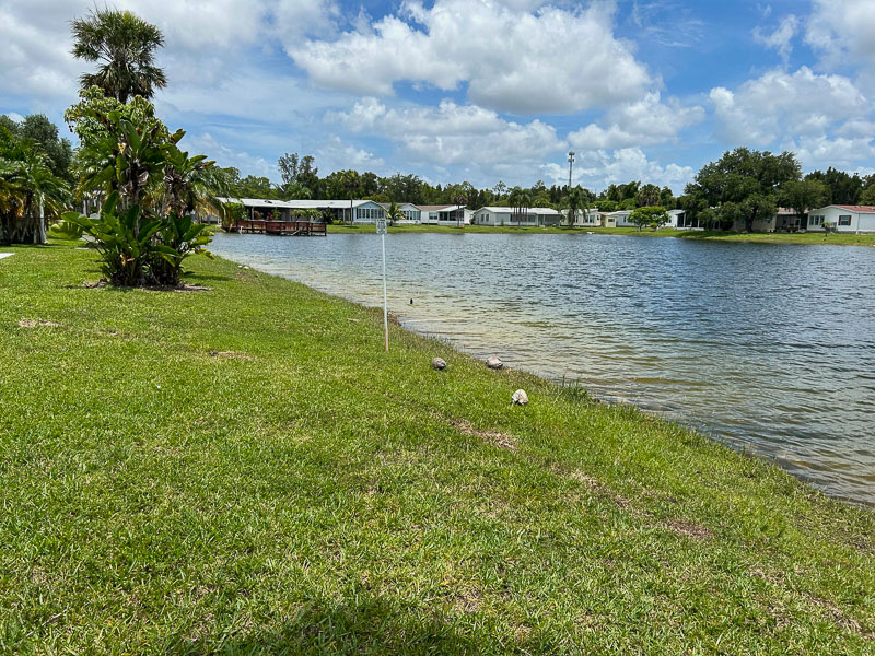 502 Tall Oak Rd, Naples, Florida 34113, 2 Bedrooms Bedrooms, ,2 BathroomsBathrooms,Manufactured Home,For Sale,Tall Oak,1031