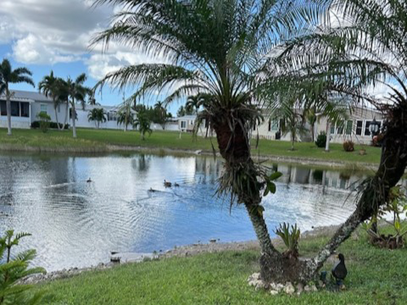 479 Bear Track Rd, Naples, Florida 34113, 3 Bedrooms Bedrooms, ,2 BathroomsBathrooms,Manufactured Home,For Sale,Bear Track,1035